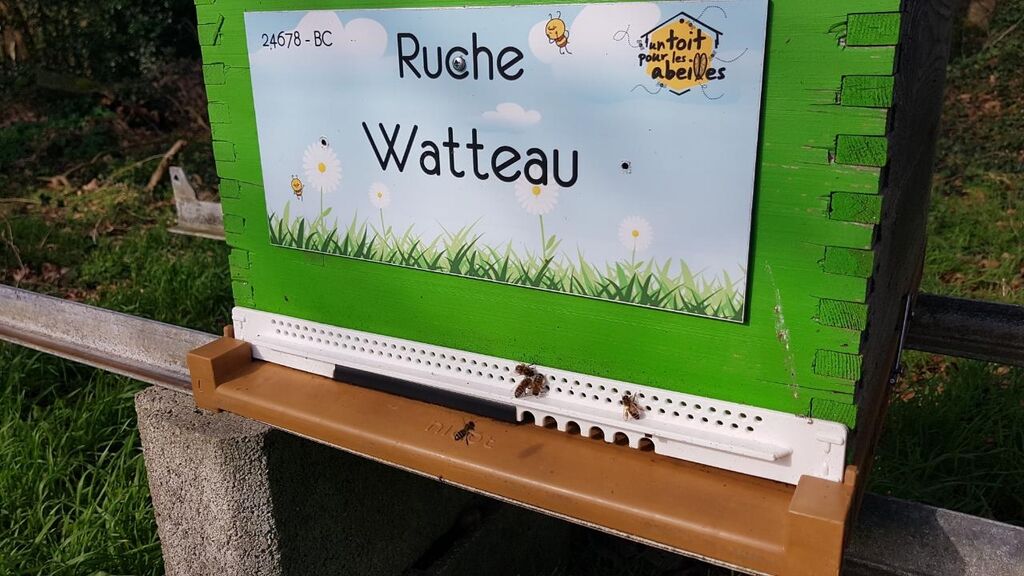 La ruche Watteau