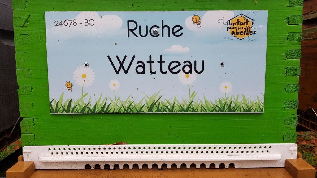 La ruche Watteau