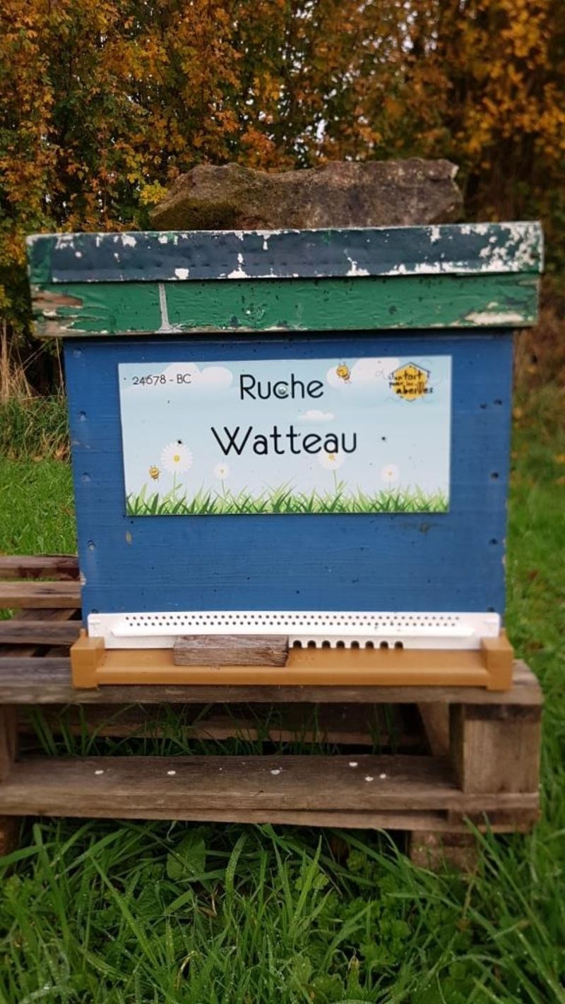 La ruche Watteau