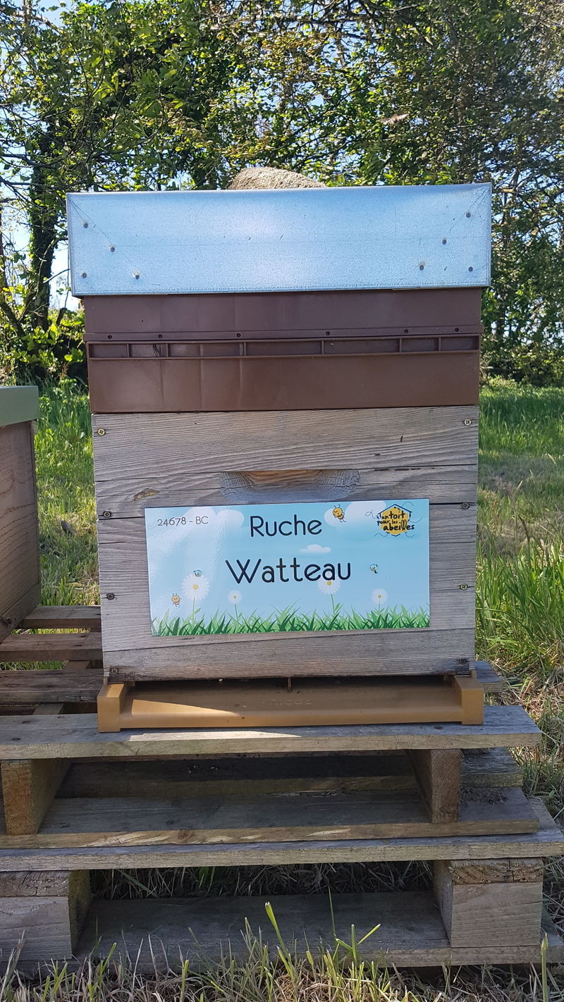 La ruche Watteau