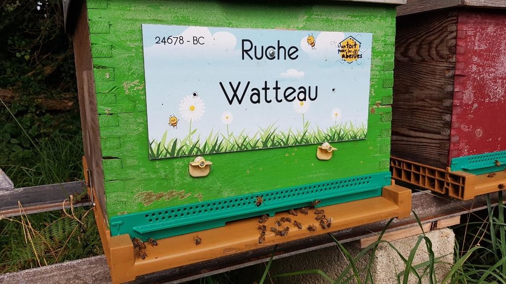 La ruche Watteau