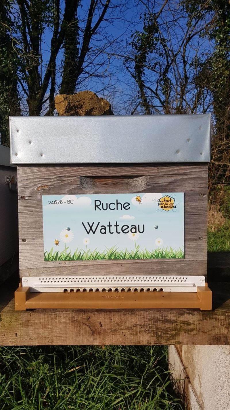 La ruche Watteau