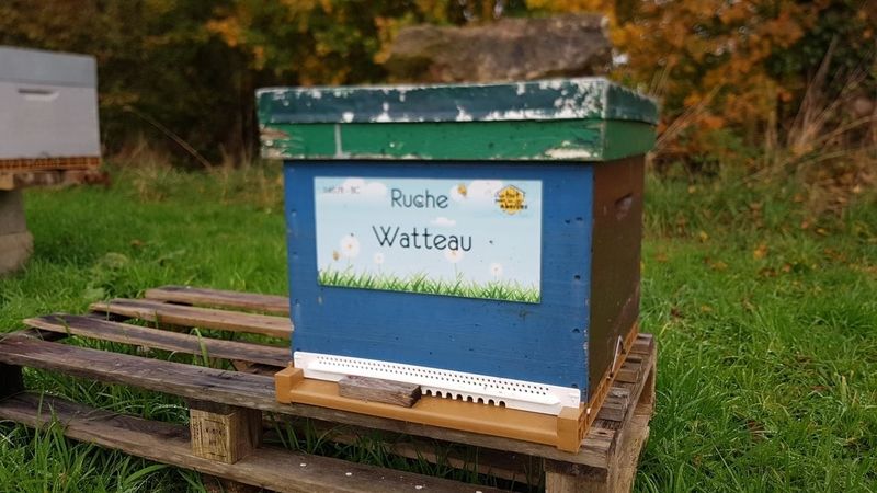La ruche Watteau