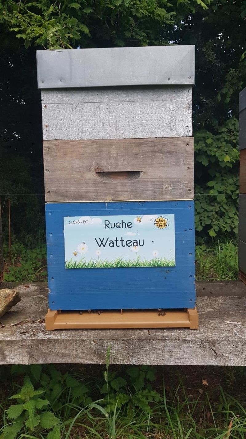 La ruche Watteau
