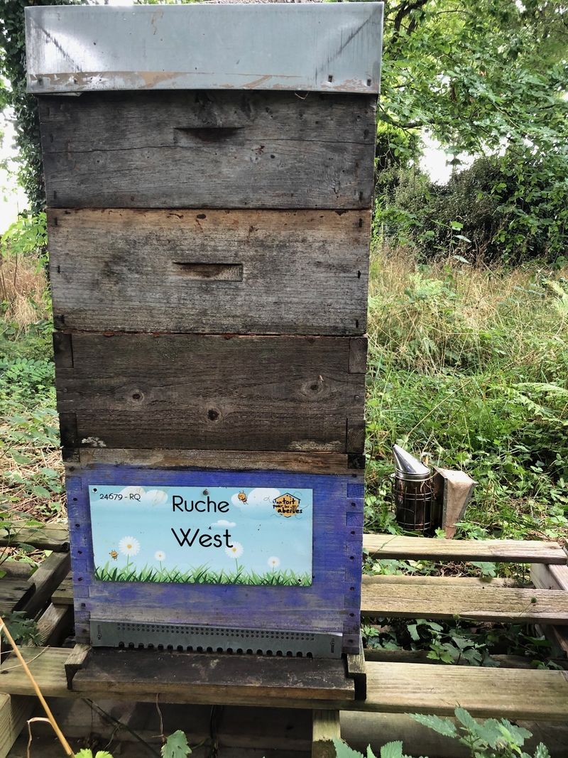 La ruche West