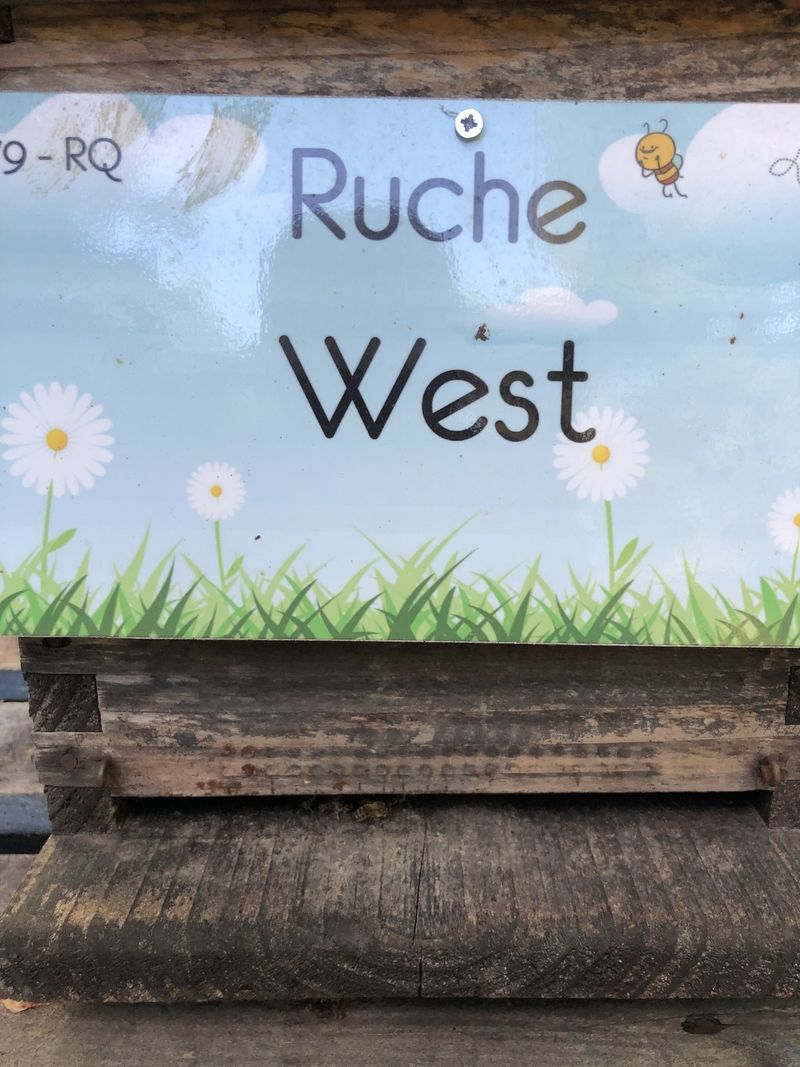 La ruche West
