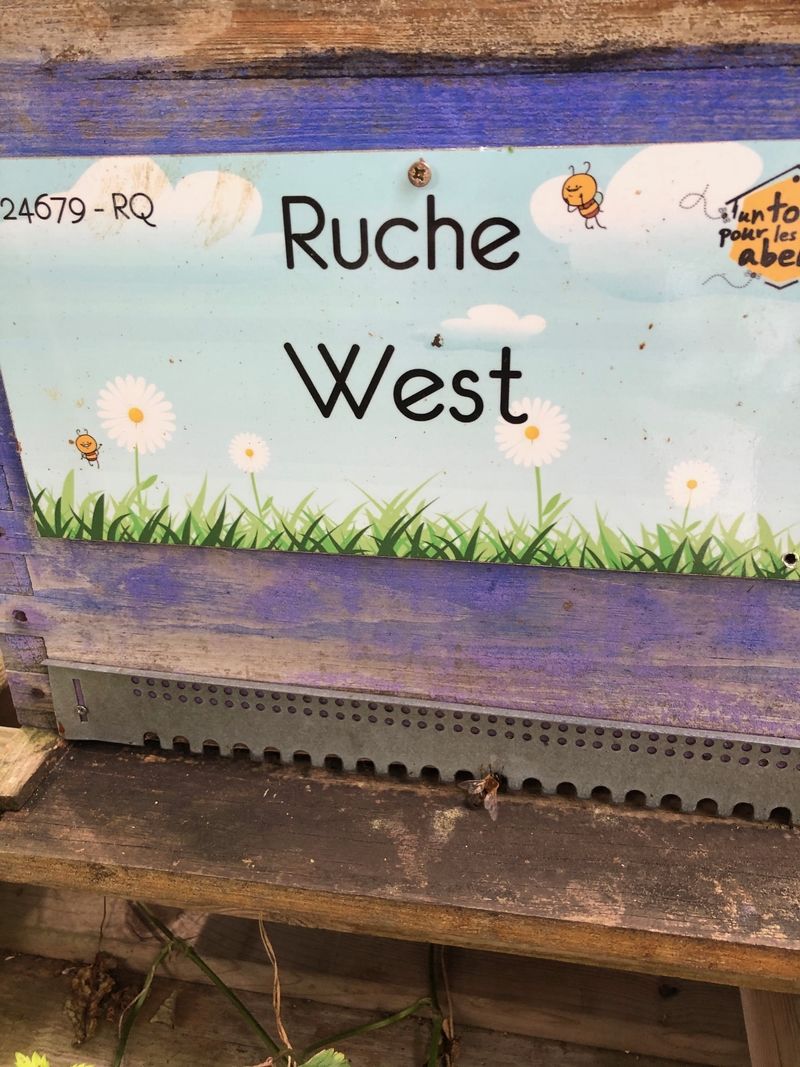 La ruche West