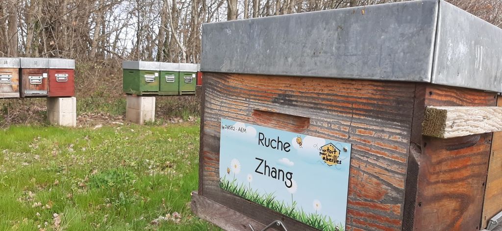 La ruche Zhang