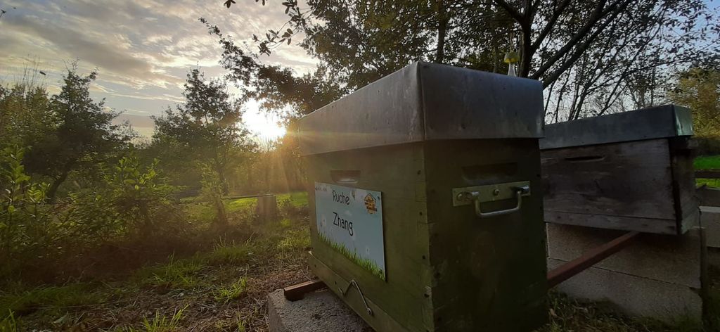 La ruche Zhang