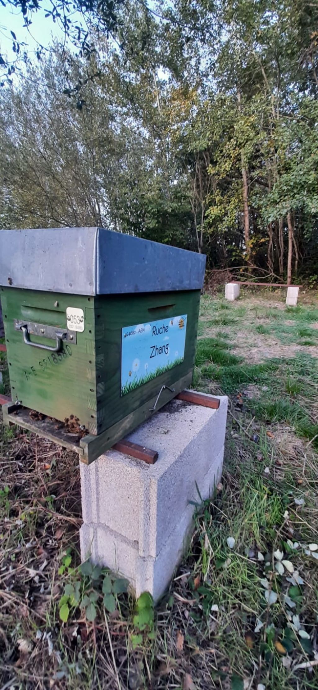 La ruche Zhang
