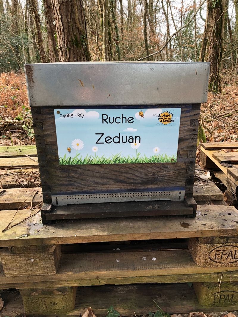 La ruche