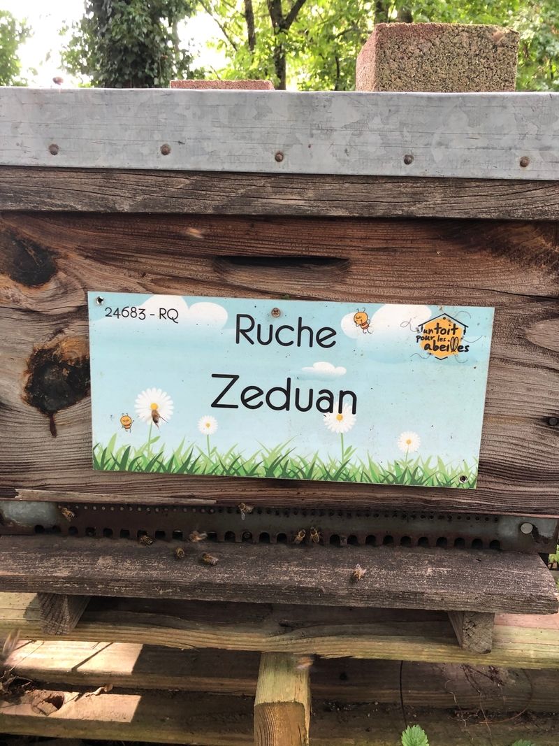La ruche Zeduan