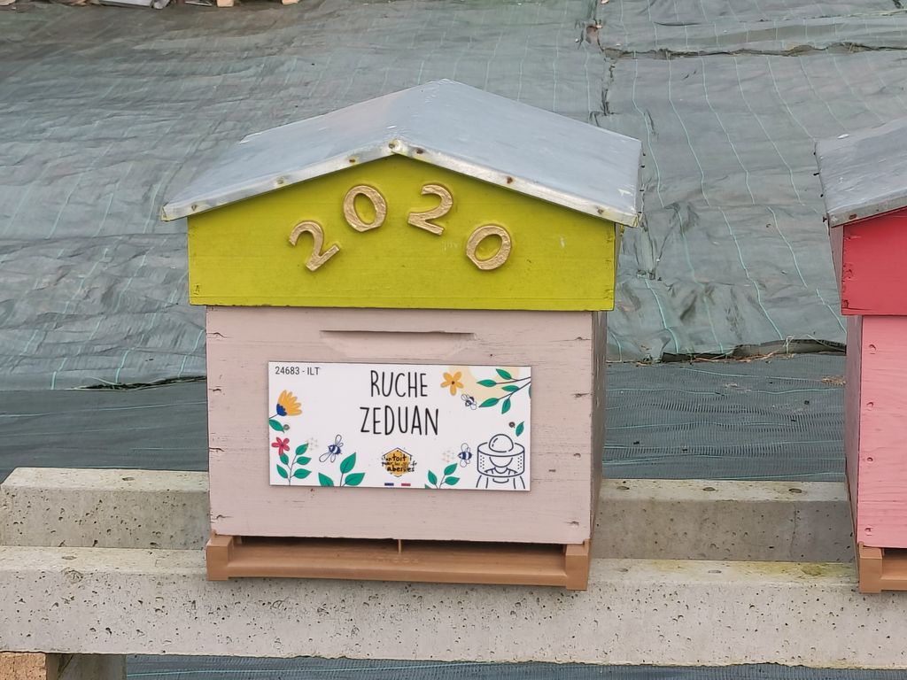 La ruche Zeduan