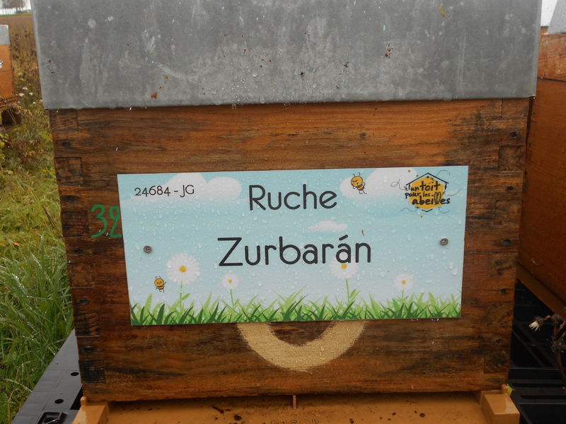 La ruche Zurbarán