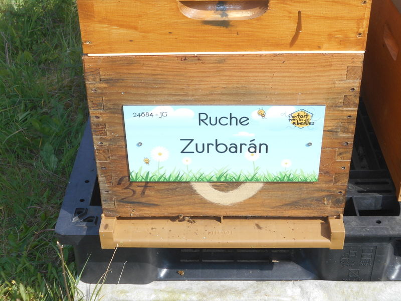 La ruche