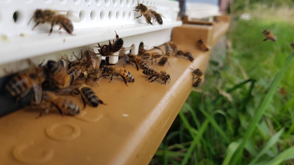 La ruche Domaine de Bel Air Camping 5*