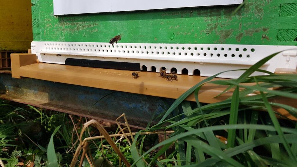 La ruche Domaine de Bel Air Camping 5*