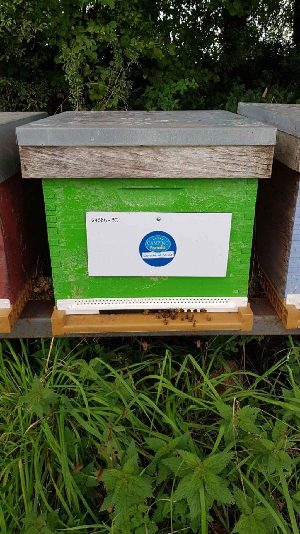 La ruche Domaine de Bel Air Camping 5*