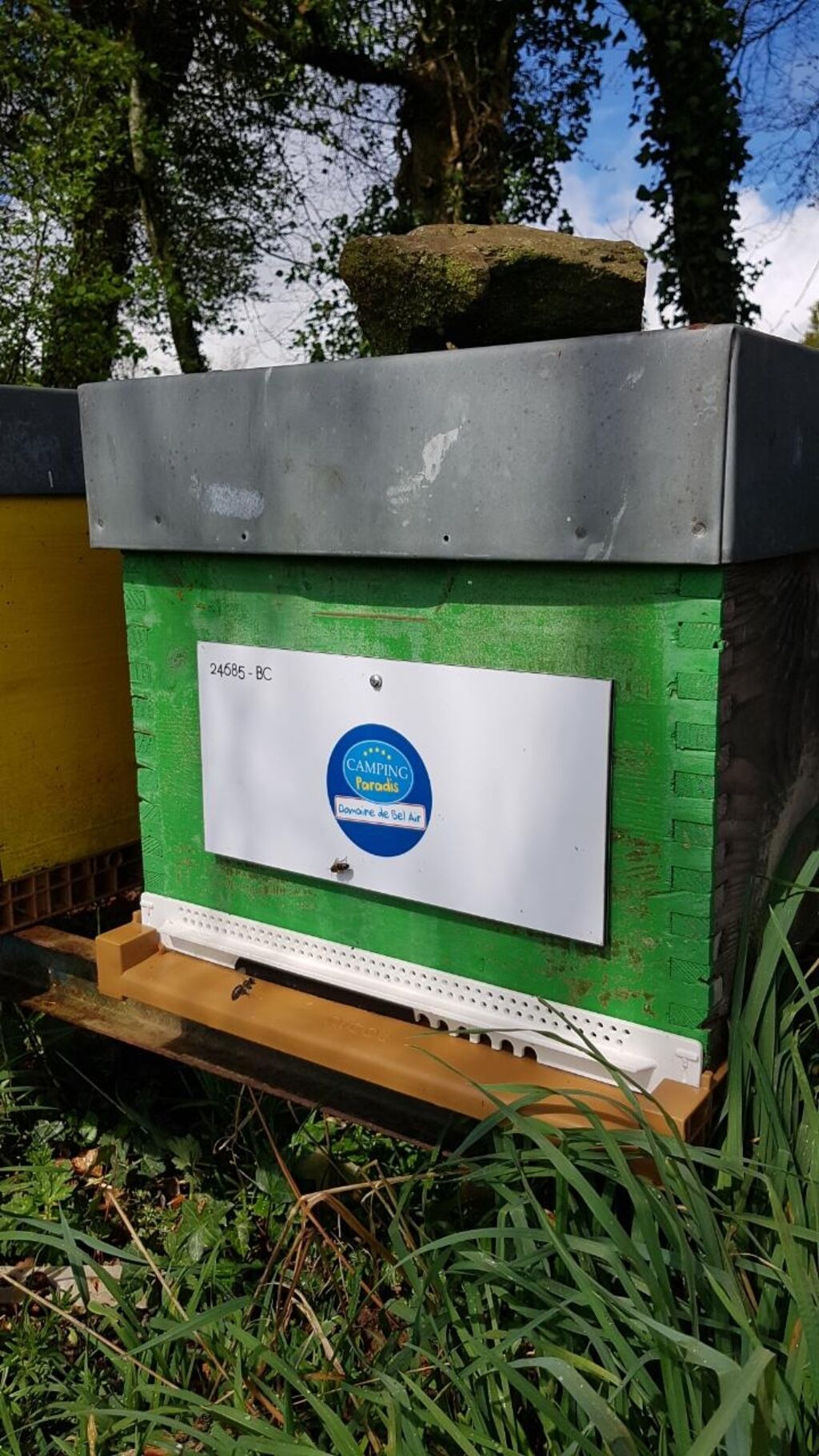 La ruche Domaine de Bel Air Camping 5*