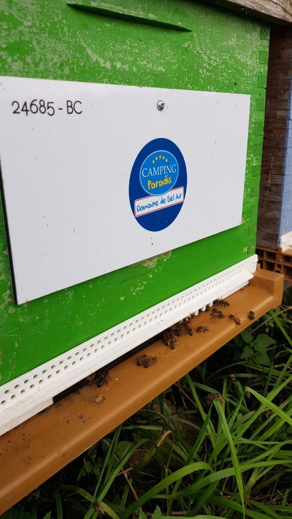 La ruche Domaine de Bel Air Camping 5*