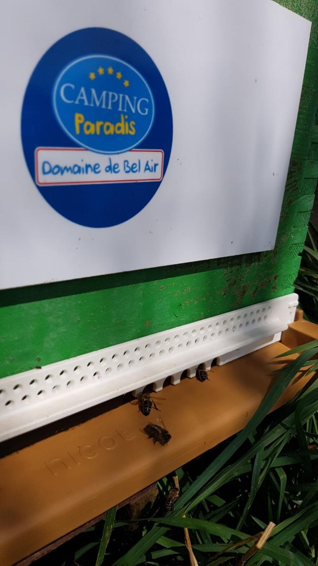 La ruche Domaine de Bel Air Camping 5*