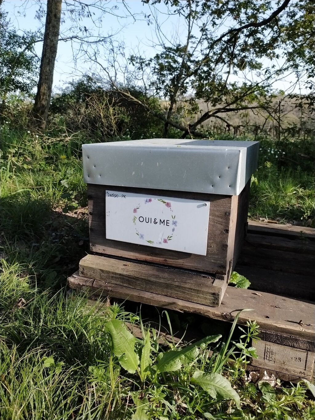 La ruche OUI & ME