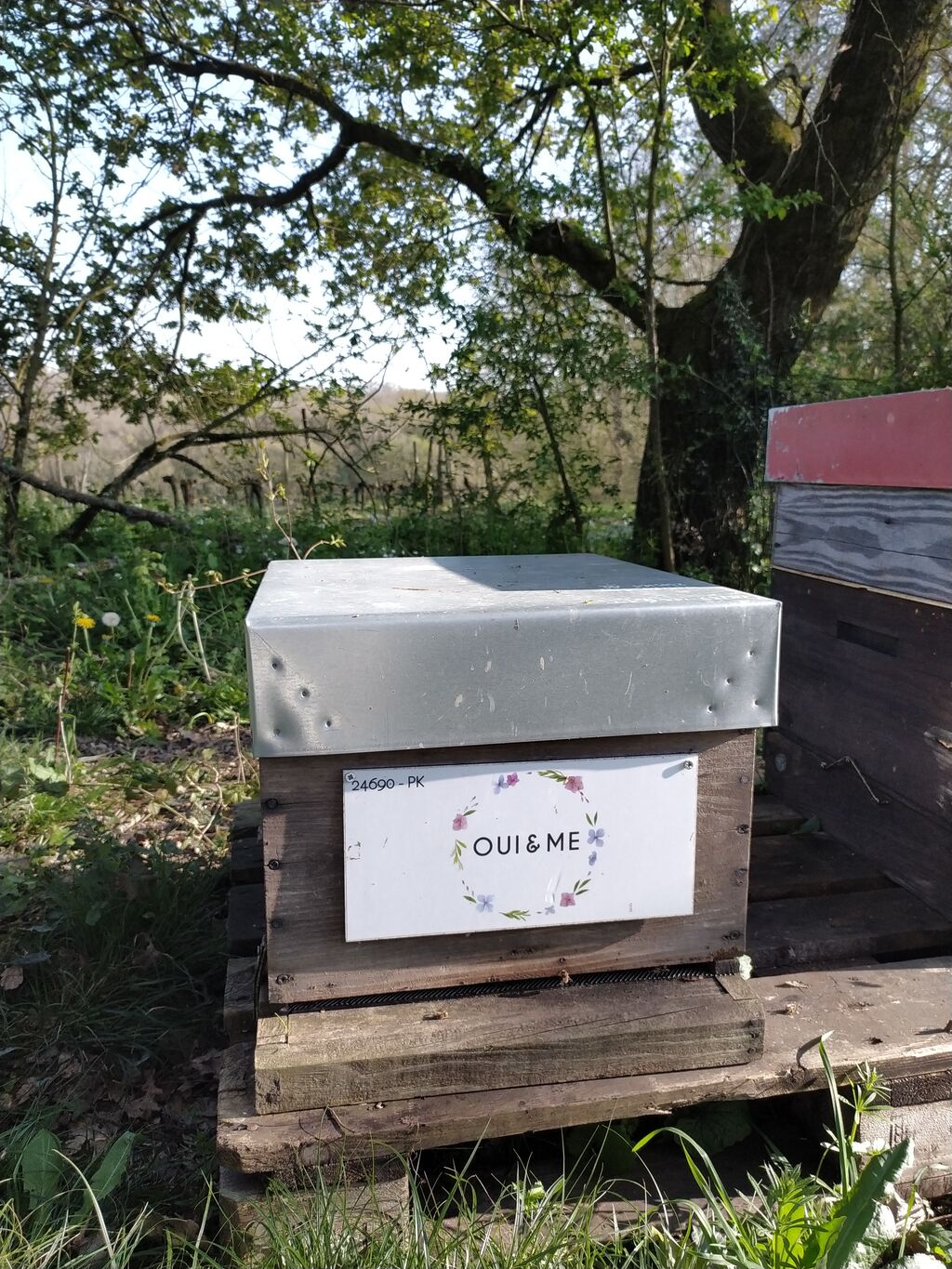 La ruche OUI & ME