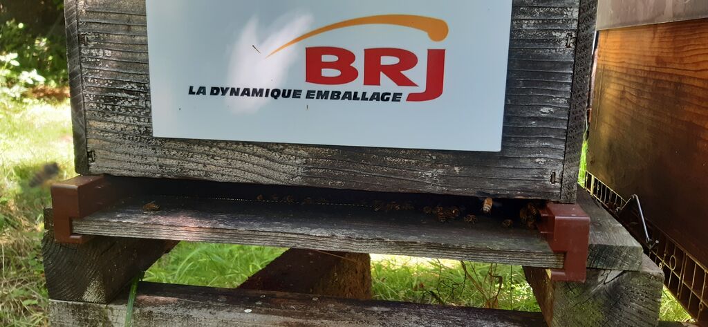 La ruche Brj emballage