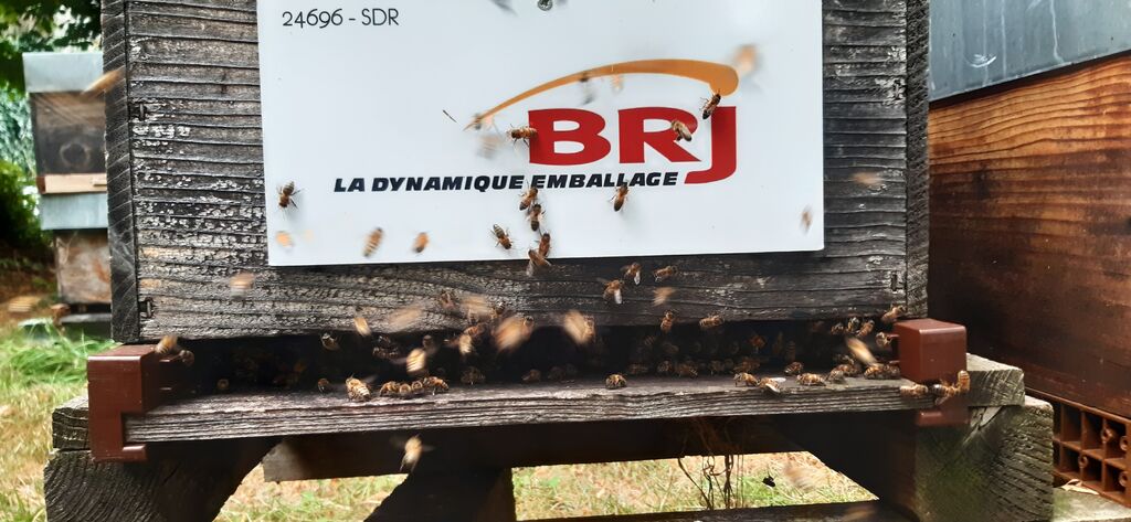 La ruche Brj emballage