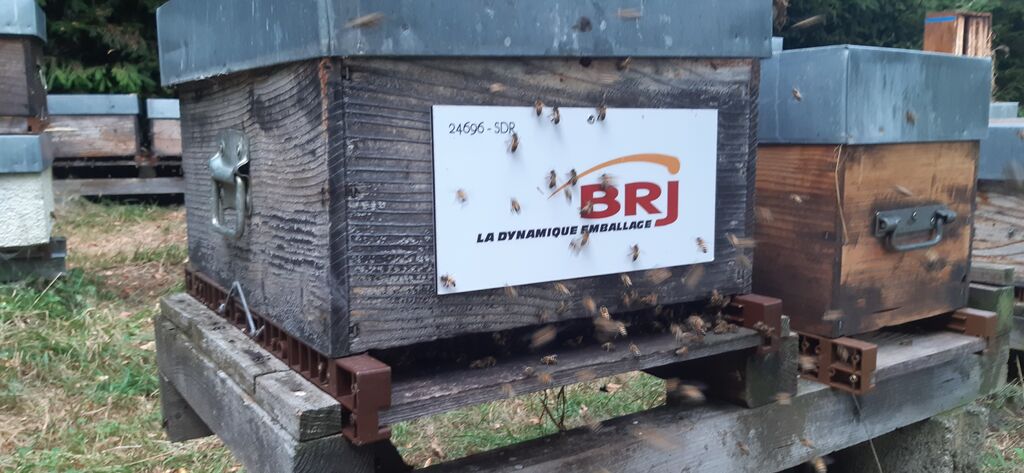 La ruche Brj emballage