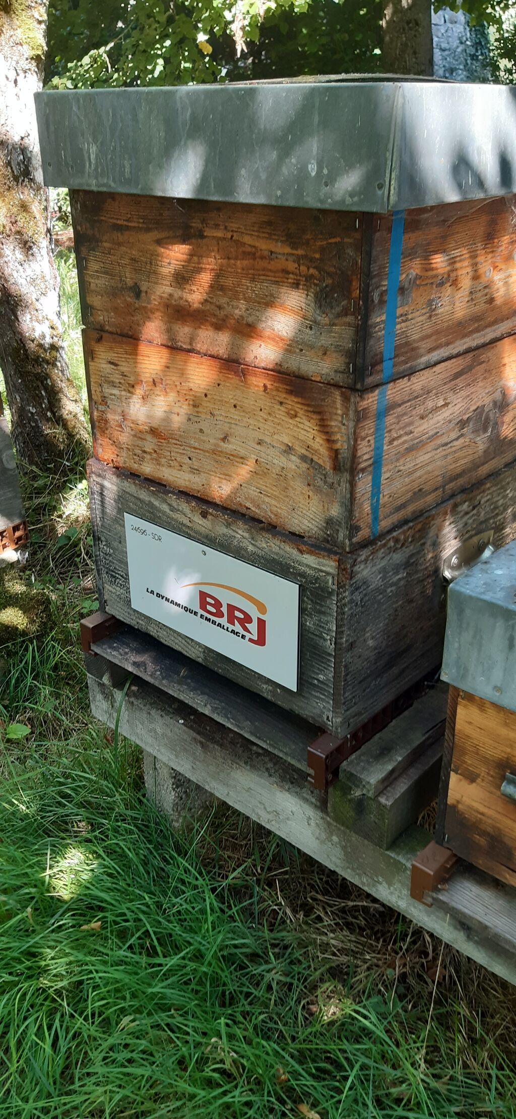 La ruche Brj emballage