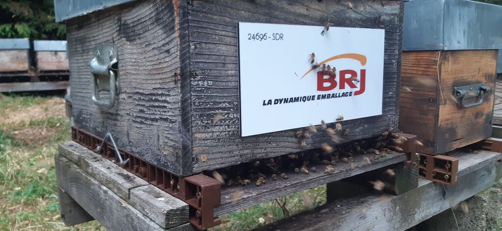 La ruche Brj emballage