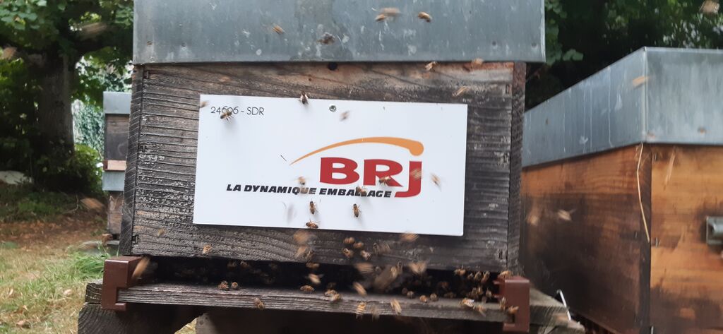 La ruche Brj emballage