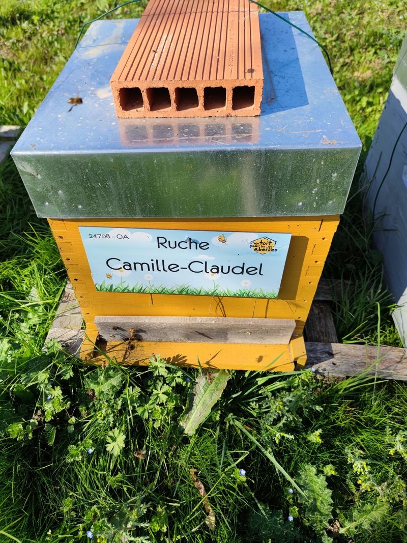La ruche Camille-Claudel