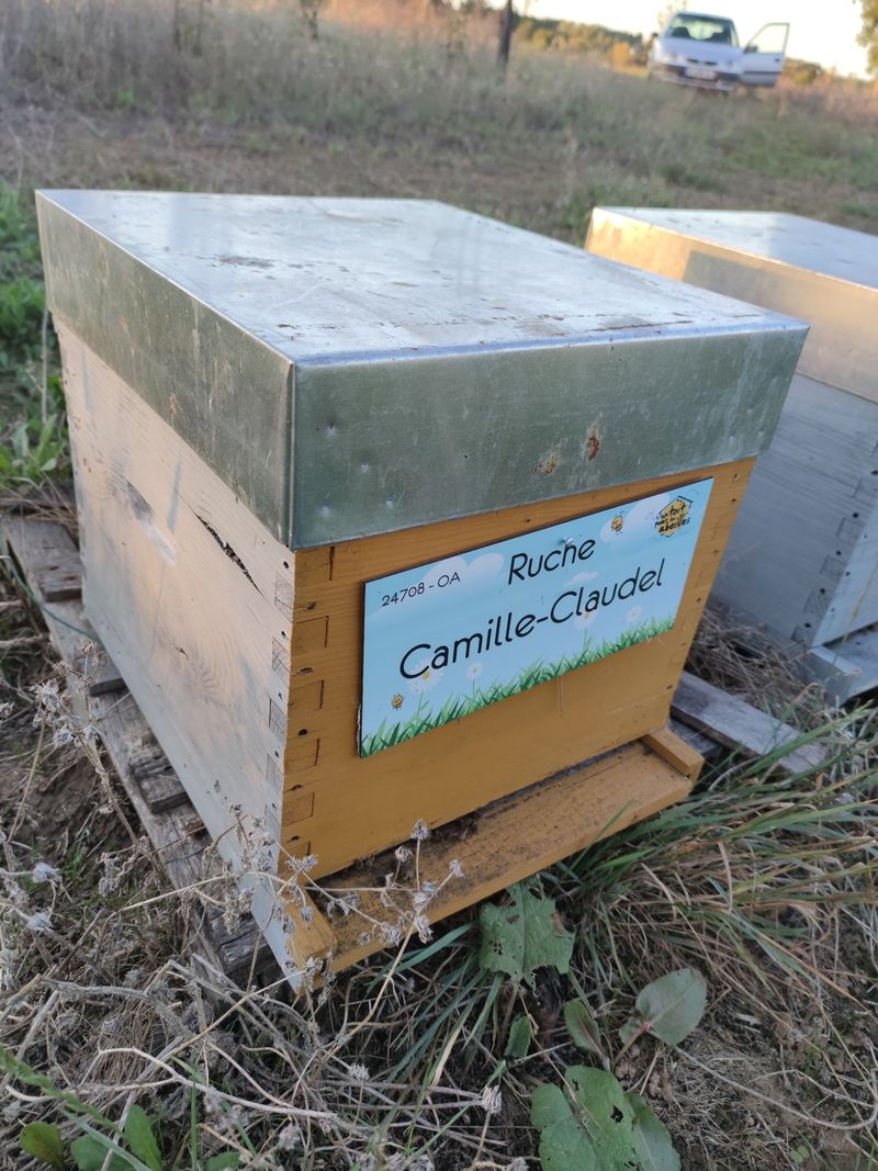 La ruche Camille-Claudel