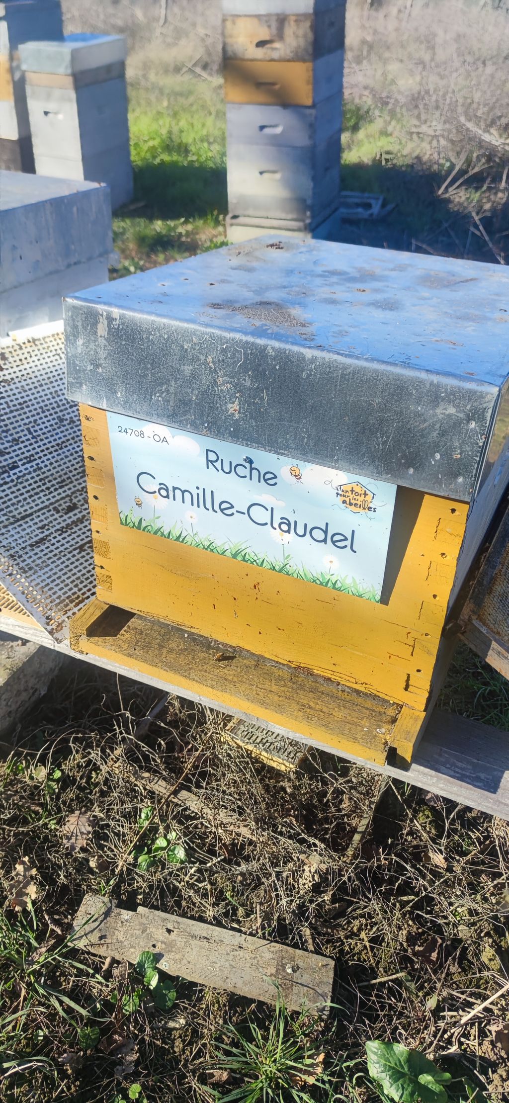 La ruche Camille-Claudel