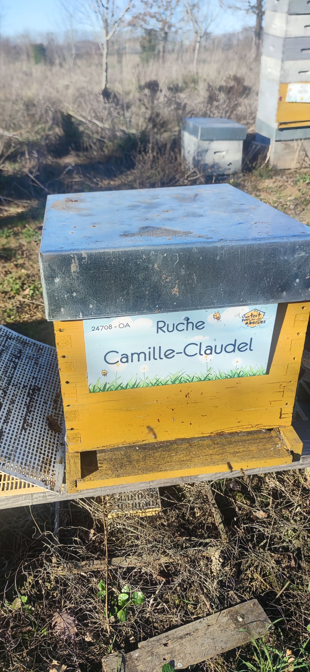 La ruche Camille-Claudel