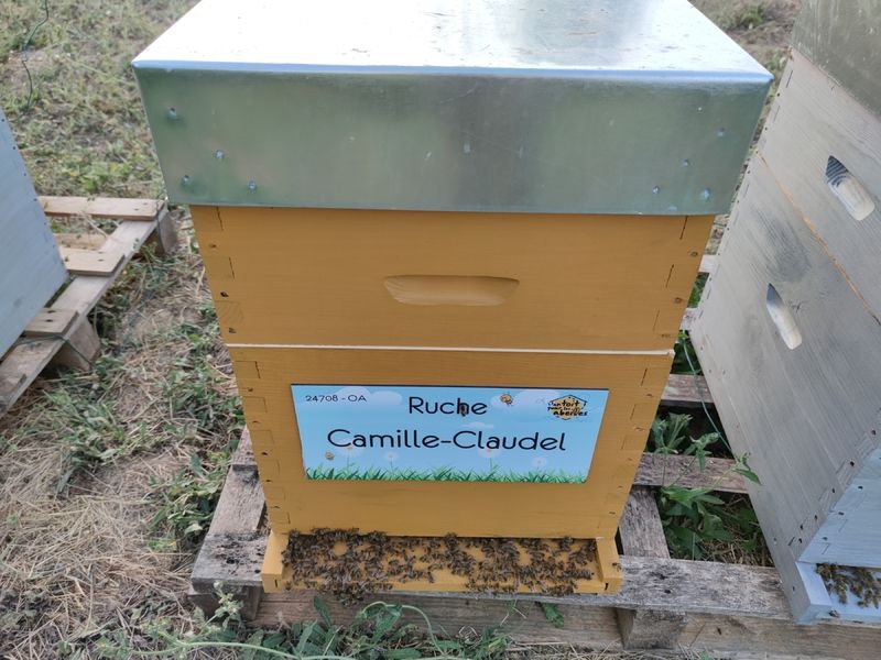 La ruche Camille-Claudel