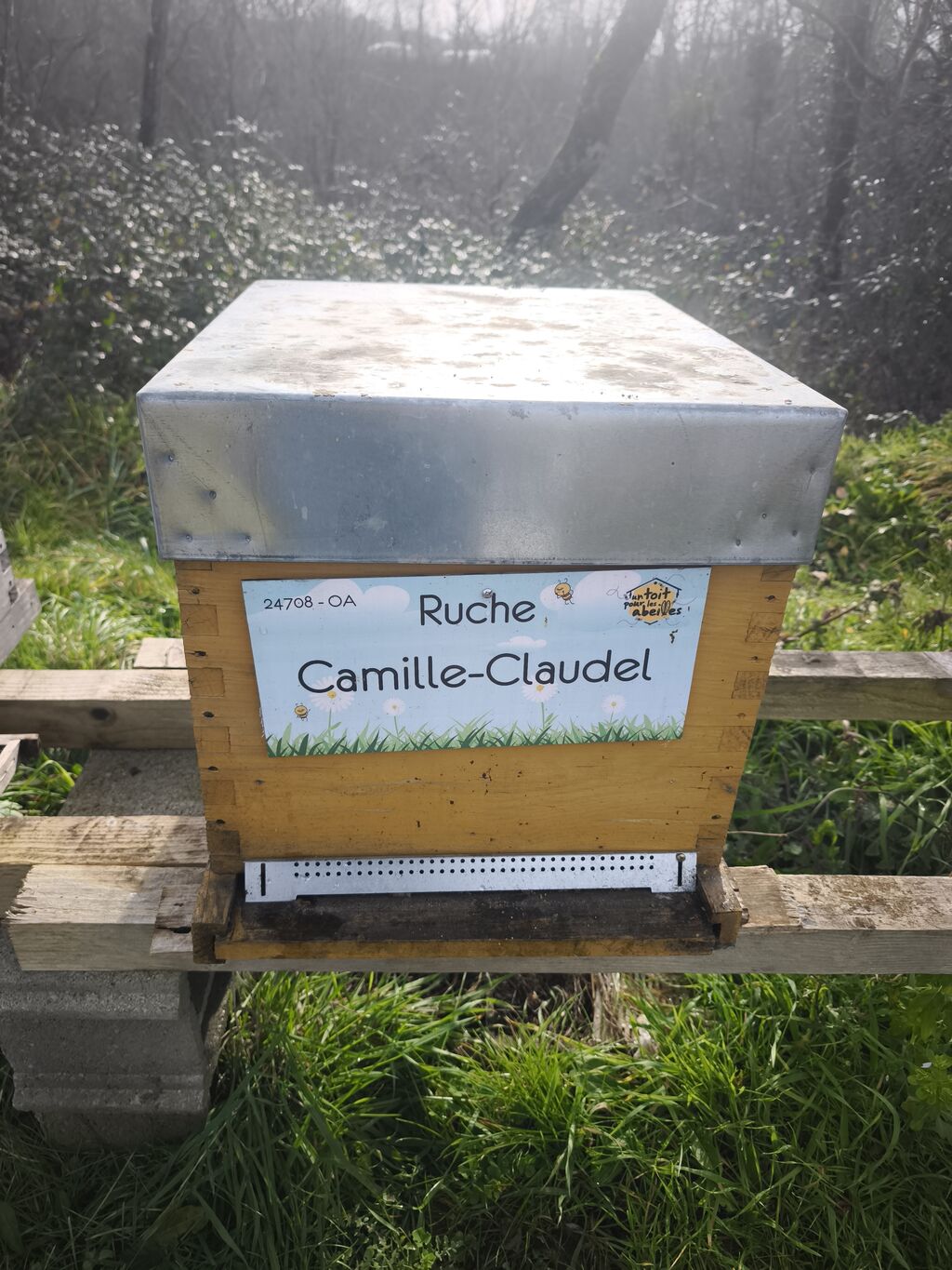 La ruche Camille-Claudel