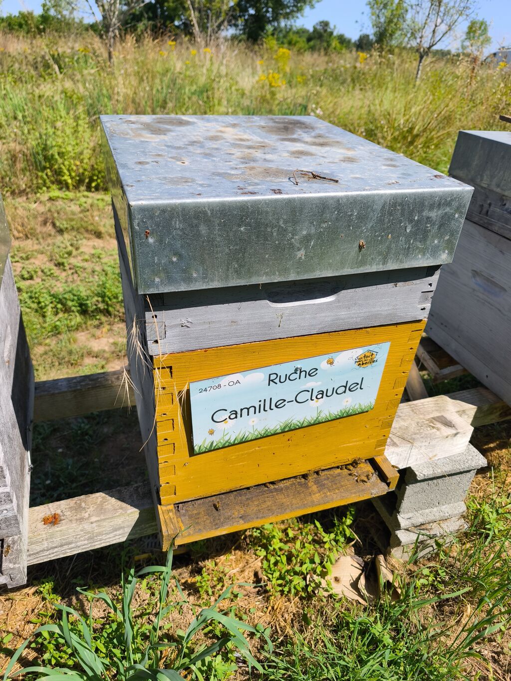 La ruche Camille-Claudel