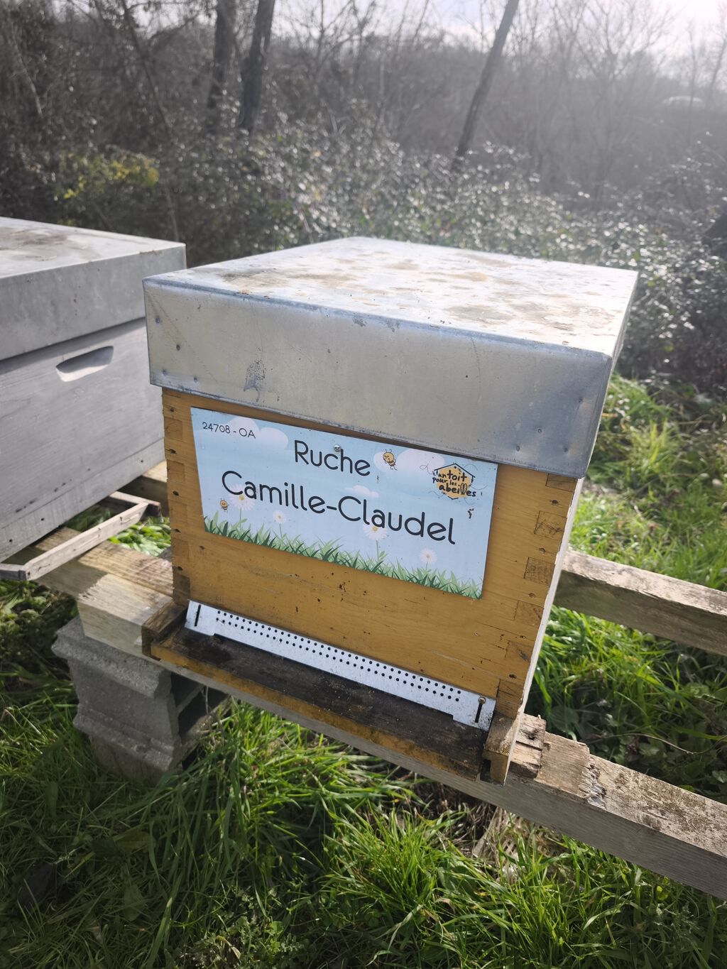 La ruche Camille-Claudel