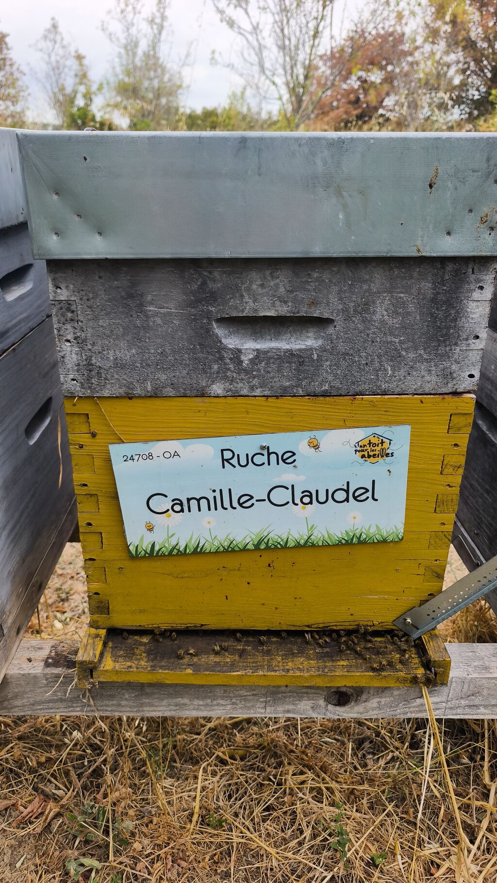 La ruche Camille-Claudel