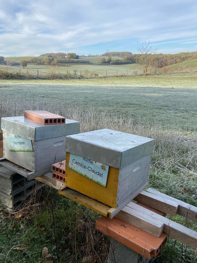 La ruche Camille-Claudel