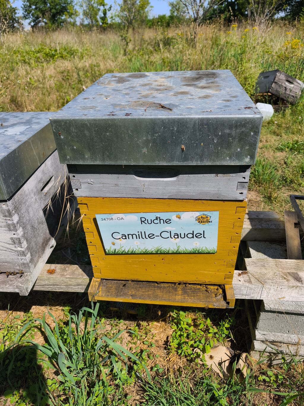 La ruche Camille-Claudel