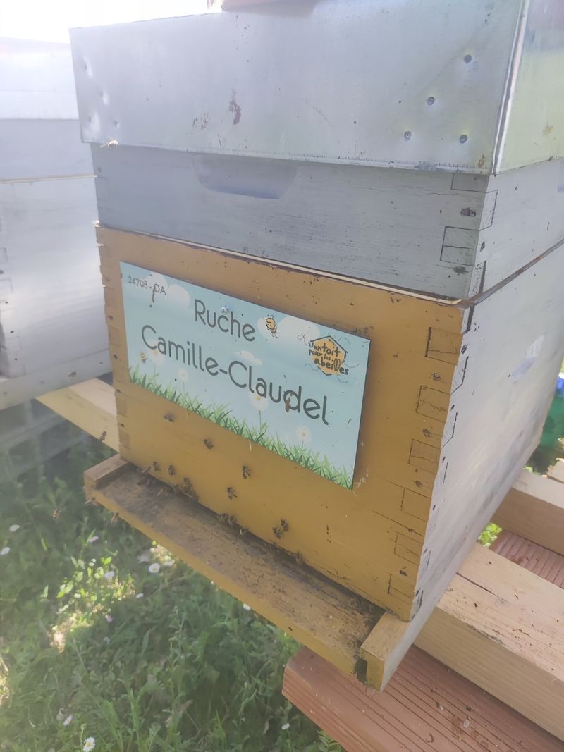 La ruche Camille-Claudel