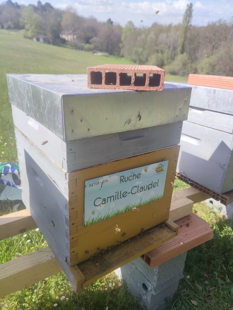 La ruche Camille-Claudel