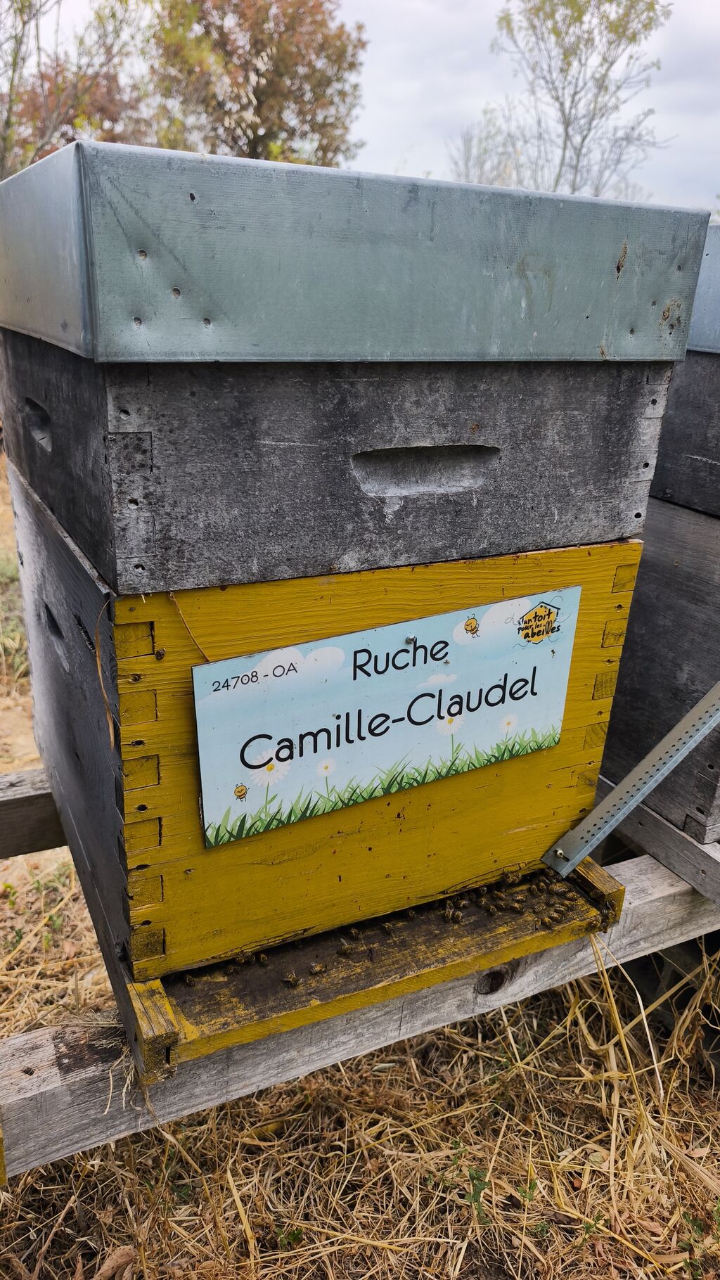 La ruche Camille-Claudel