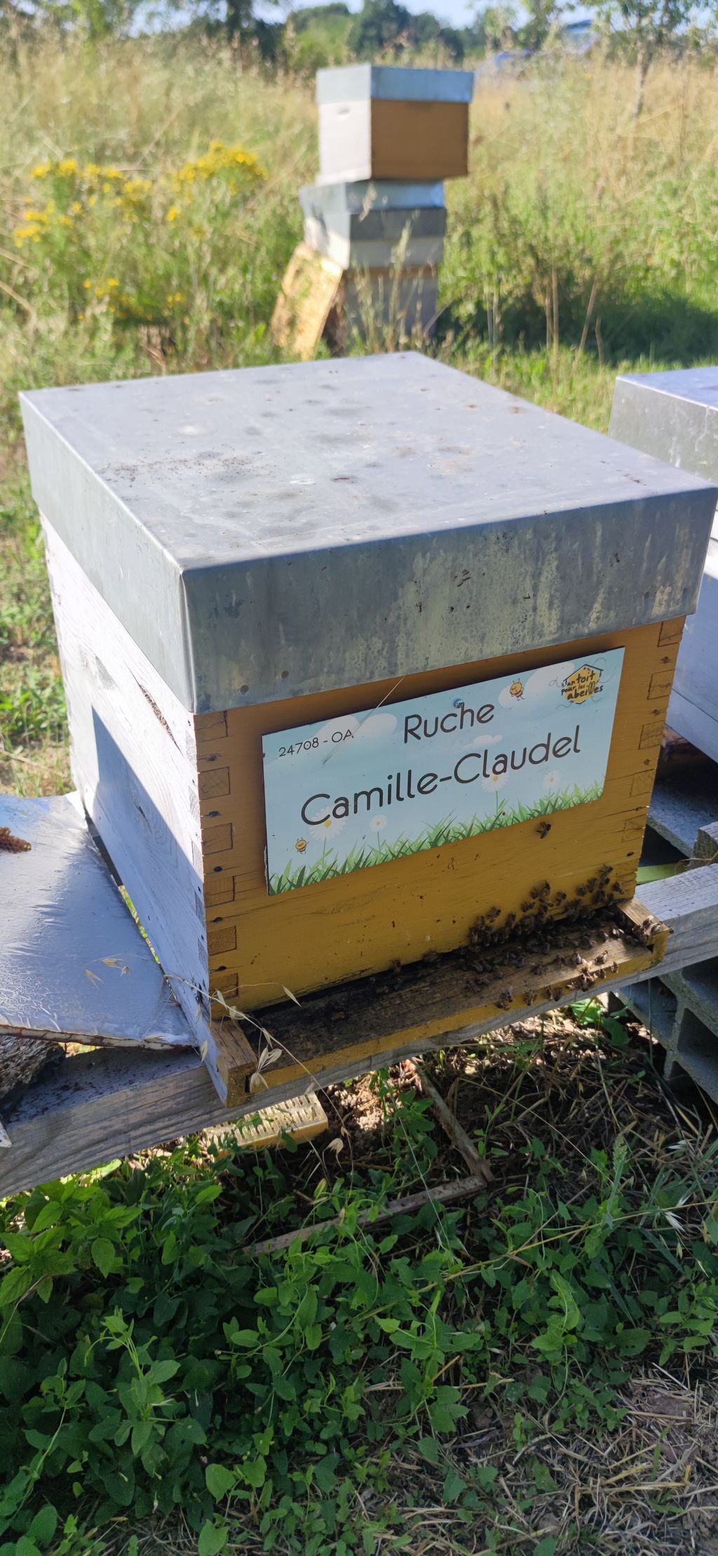 La ruche Camille-Claudel