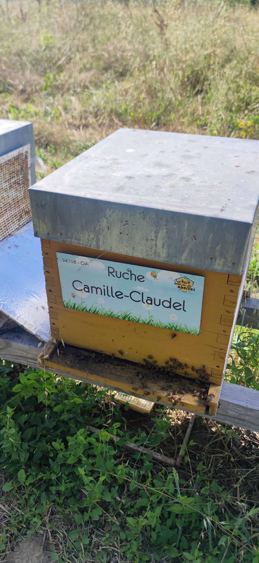 La ruche Camille-Claudel