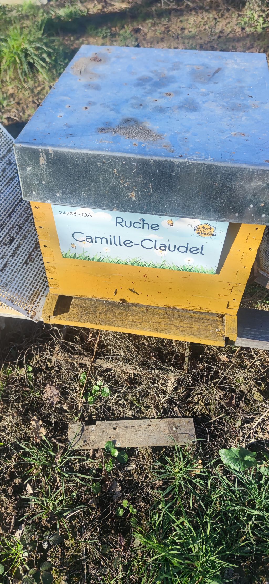 La ruche Camille-Claudel